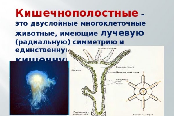 Кракен ссылка тор kraken014 com