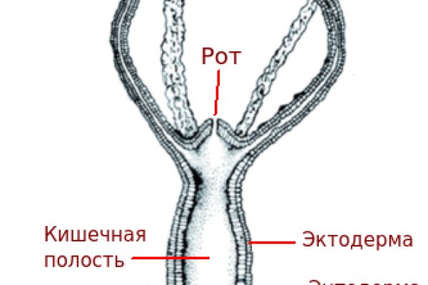 Модератор на кракене