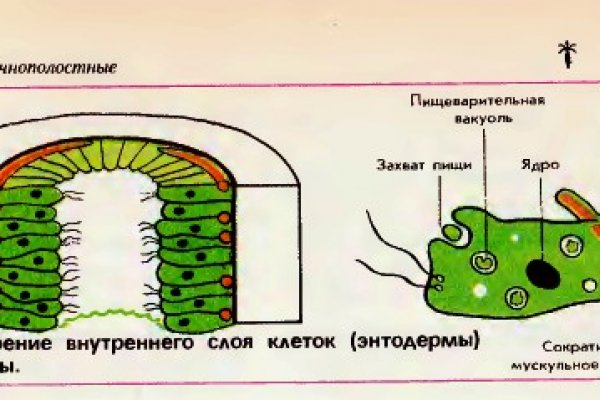 Как найти сайт кракен